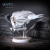 Light assault drone Carsly Right Back Light assault drone Carsly Right Back
