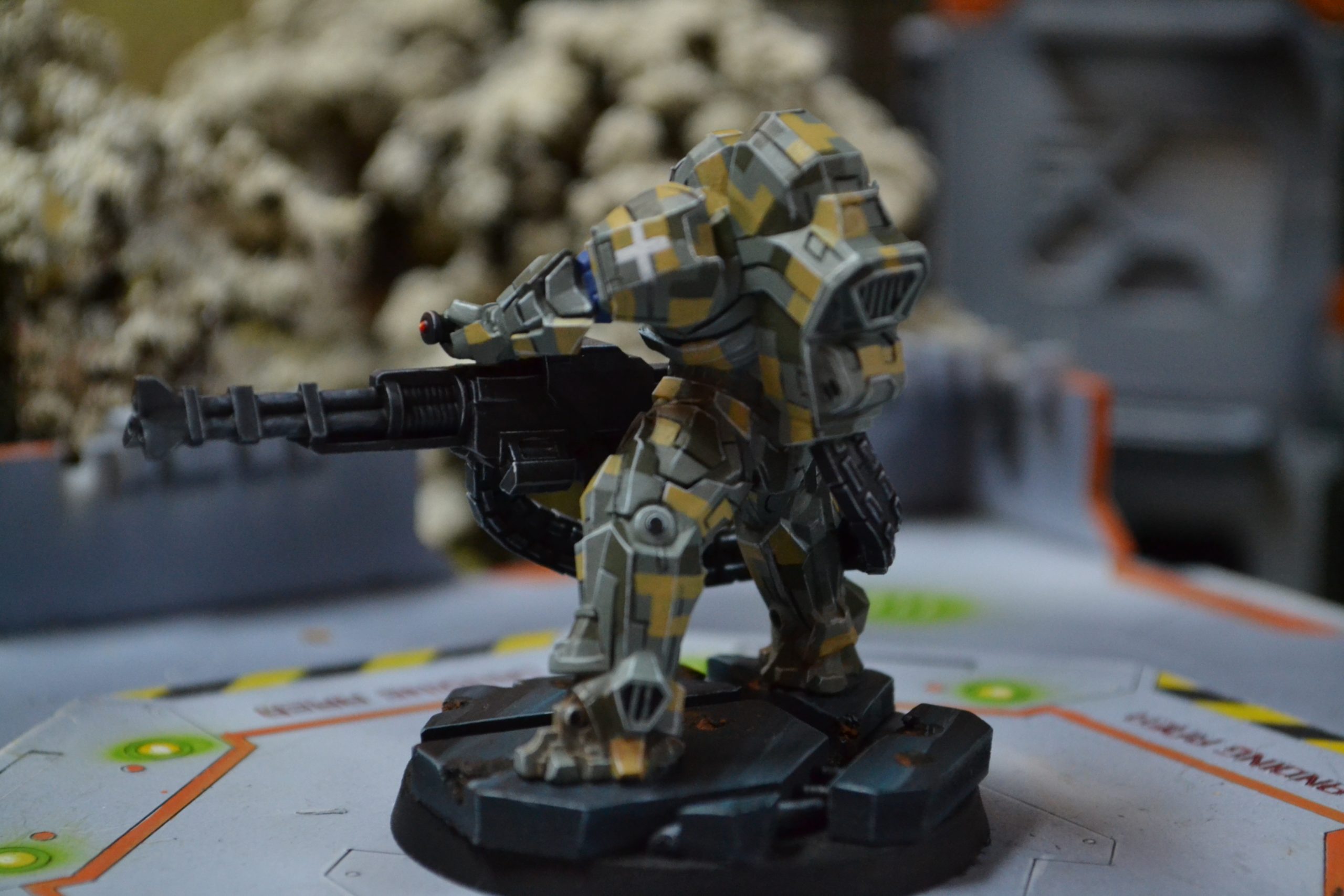 DSC_1658 DSC_1658
