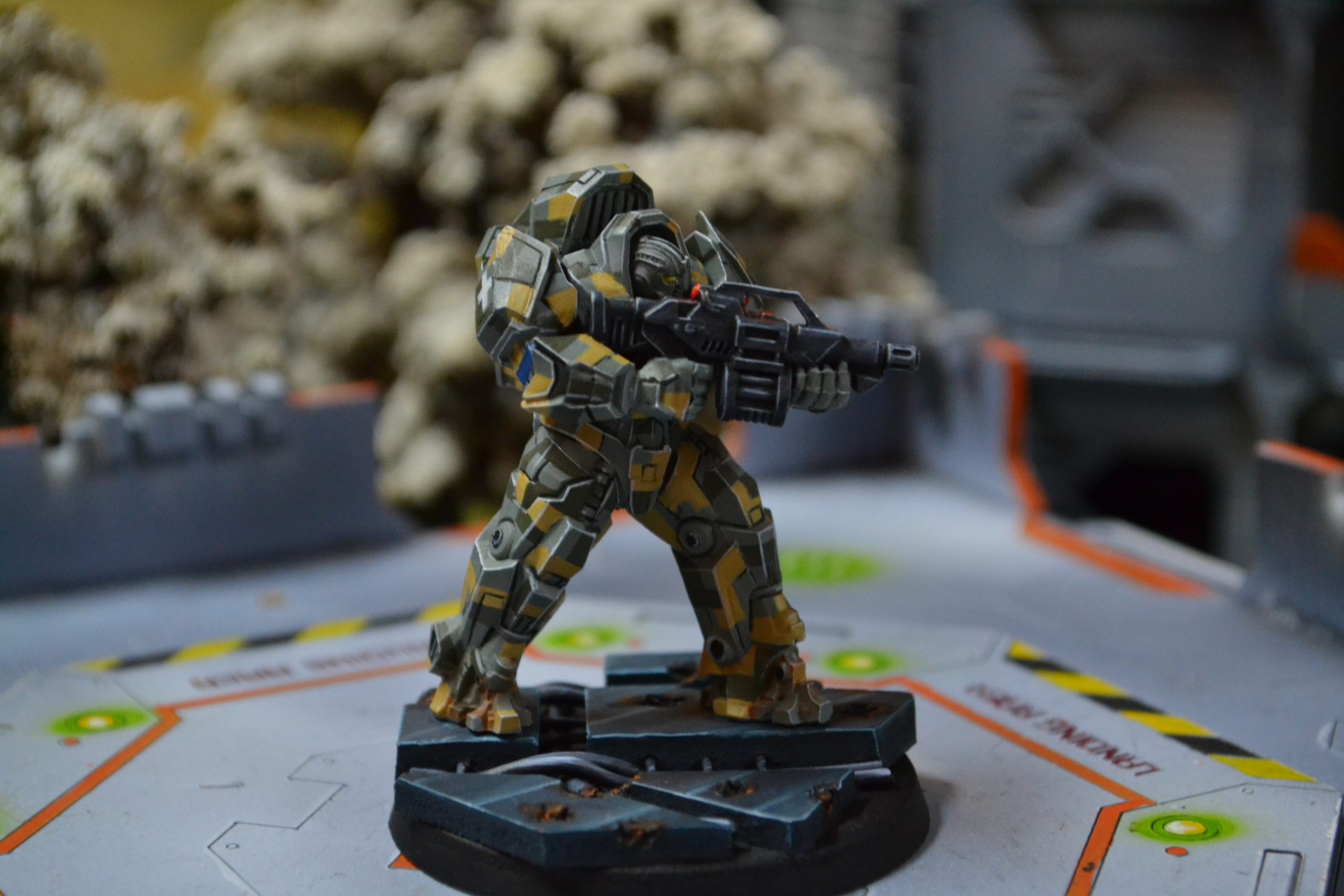 DSC_1660 DSC_1660